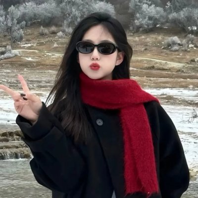 威尼斯计划