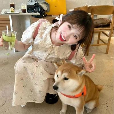 忙里偷爱